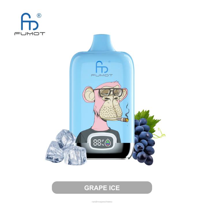 RandM Tornado Schweiz | Fumot Original RandM Digital Box 00P23 12000-Akku und Liquid-Display-Vape-Gerät Traubeneis